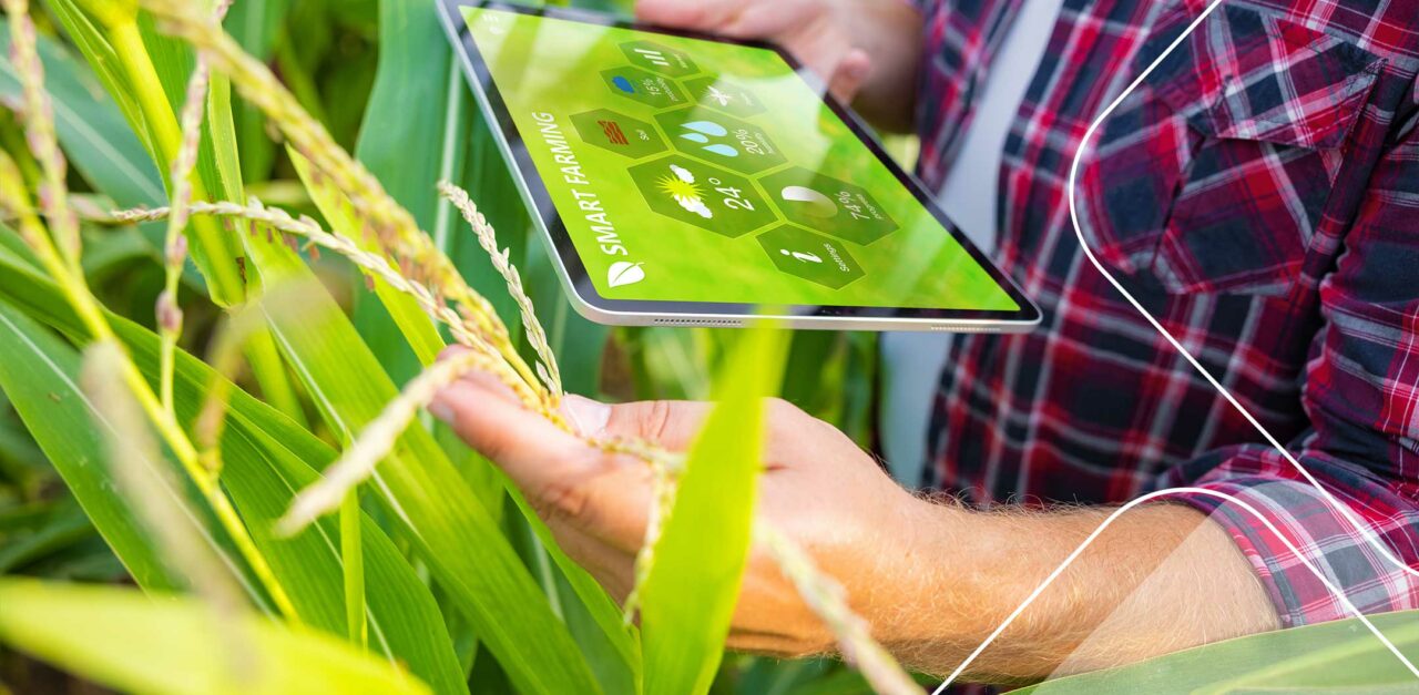 Foodtechs y el reto de la inseguridad alimentaria mundial
